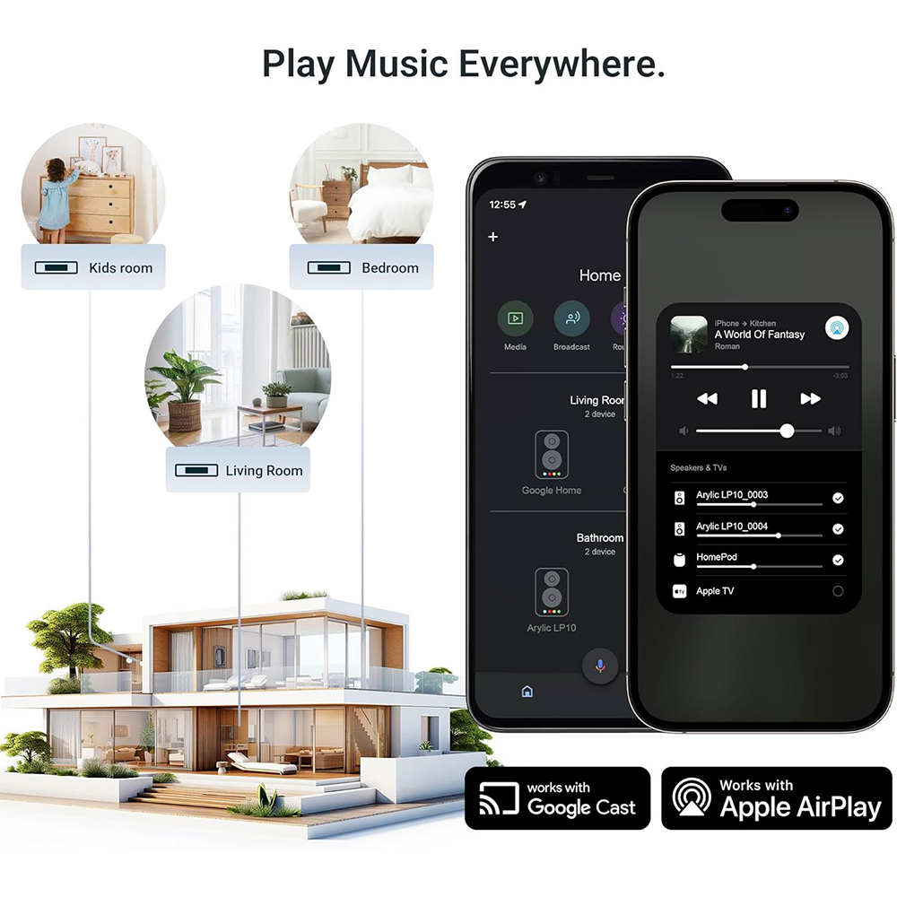 Arylic LP10 Wireless Music Str - Audio Music Google review and price