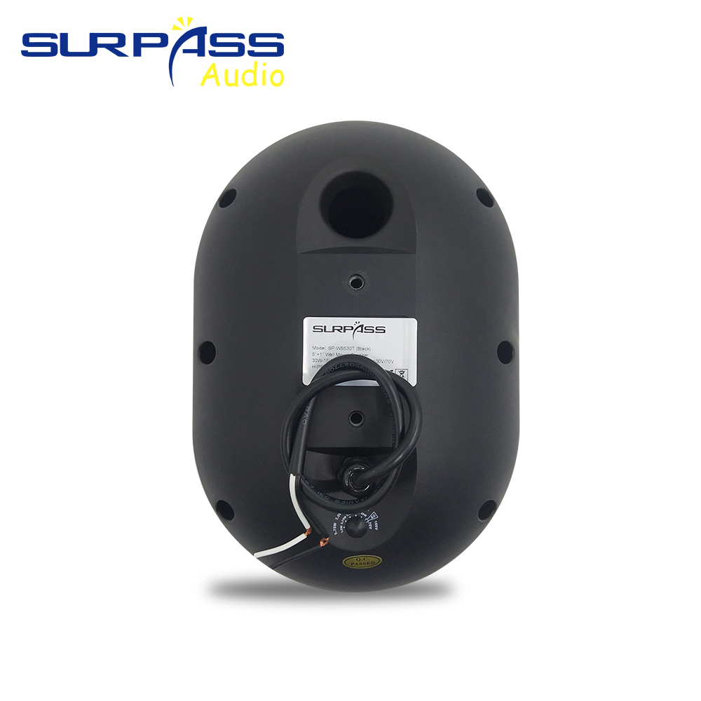 30W Wall-mounted Speaker Water - Audio Music Background review and price